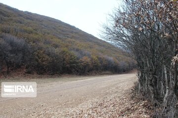 Autumn in northwest Iran