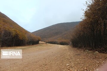 Autumn in northwest Iran