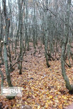 Autumn in northwest Iran