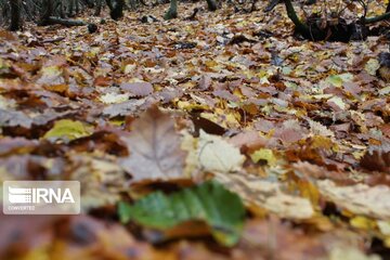 Autumn in northwest Iran