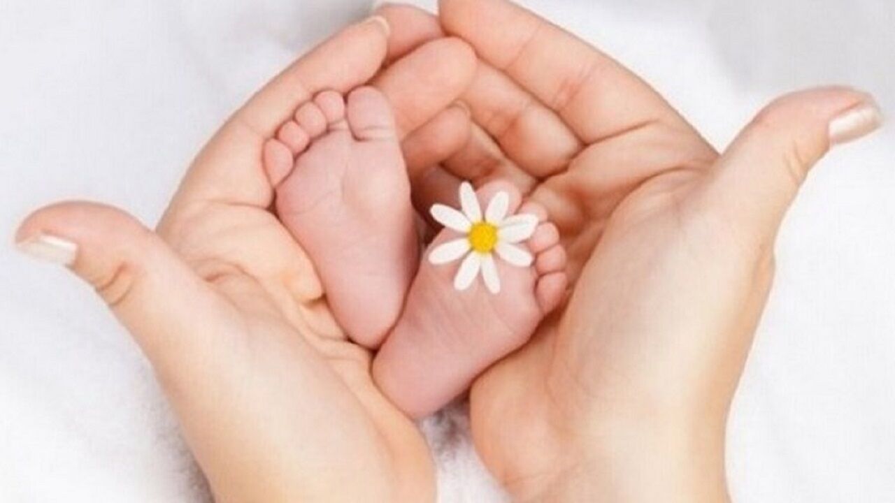 دانشکده علوم پزشکی مراغه به زوجاه های نابارو تسهیلات می‌دهد