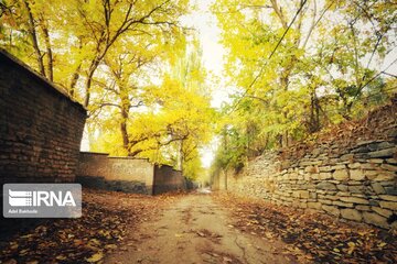 Iran : les jolies couleurs d’automne dans les vallées d'Alvand et le parc forestier d'Alangdarreh