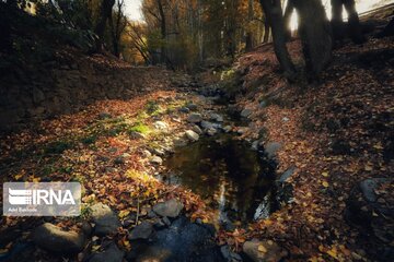 Iran : les jolies couleurs d’automne dans les vallées d'Alvand et le parc forestier d'Alangdarreh