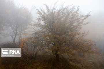 Iran : les jolies couleurs d’automne dans les vallées d'Alvand et le parc forestier d'Alangdarreh