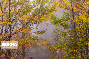 Iran : les jolies couleurs d’automne dans les vallées d'Alvand et le parc forestier d'Alangdarreh