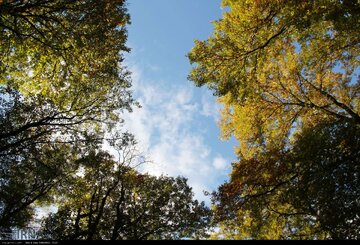 Iran : les jolies couleurs d’automne dans les vallées d'Alvand et le parc forestier d'Alangdarreh