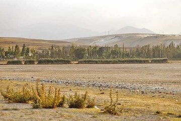 برداشت غیرمجاز عامل خشک شدن تالاب بین‌المللی قوری‌گول است 