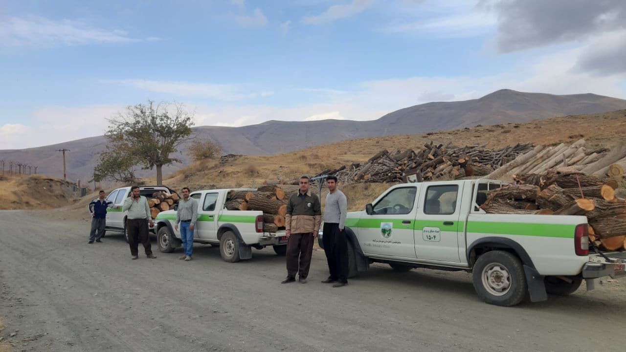 بیش از ۱۵ تن مقطوعات چوبی قاچاق در سروآباد کشف شد