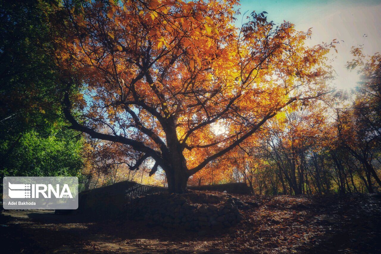 IRNA Arabic - الخريف في غرب وشمال ايران