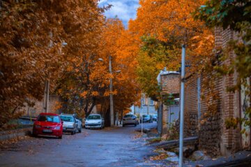 Hansar’da  Sonbahar Manzaraları