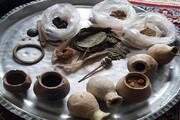 ۱۳ قلم اشیاء تاریخی در دیواندره کشف شد