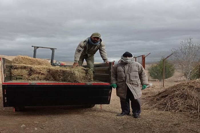 اخبار کوتاه از محیط زیست کردستان
