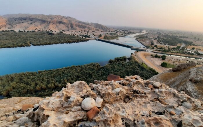 دریاچه سد تنظیمی گتوند، غرق در نیزار