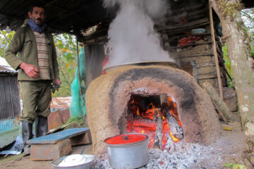 پخت دوشاب خرمالو دررضوانشهر