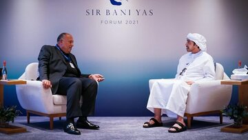 گفت‌وگوی  وزیران خارجه مصر و امارات درباره تحولات سوریه و یمن