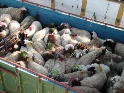 بسته خبری پلیس مرکزی؛ دستگیری سارق اماکن در اراک با اعتراف به ۲۰ فقره سرقت
