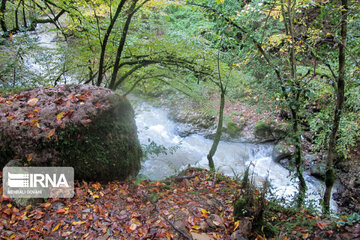 Beautés d'automne dans les forêts de Rezvanshahr (nord d’Iran)