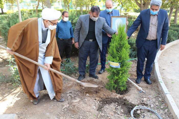 محدودیت‌ مالی مانع اجرای برخی طرح‌های توسعه در شرکت مخابرات شده است