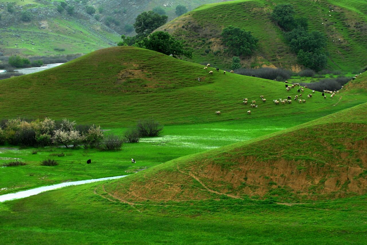 زیرساختهای سه منطقه گردشگری چهارمحال وبختیاری ۸۰میلیارد ریال نیاز دارد