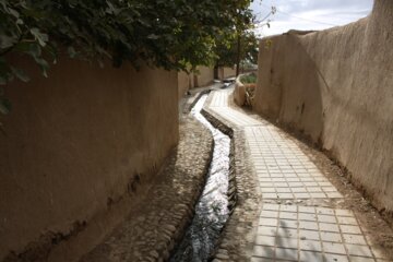 کوچه باغ راه انجیلا سمنان