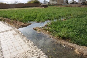 کوچه باغ راه انجیلا سمنان