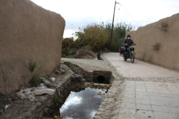 کوچه باغ راه انجیلا سمنان