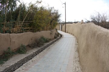 کوچه باغ راه انجیلا سمنان