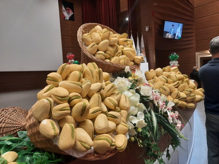 آیا پسته، خنده را بر لب اقتصاد خوشاب خراسان رضوی مینشاند؟