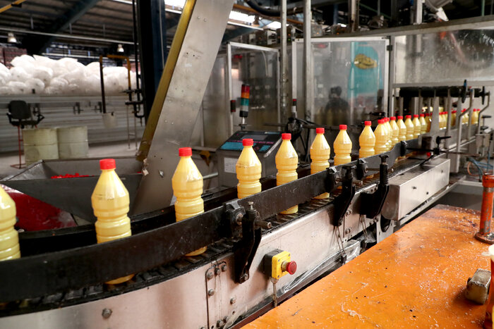 کدام صنایع کرمان دوباره جان گرفتند؟ 5