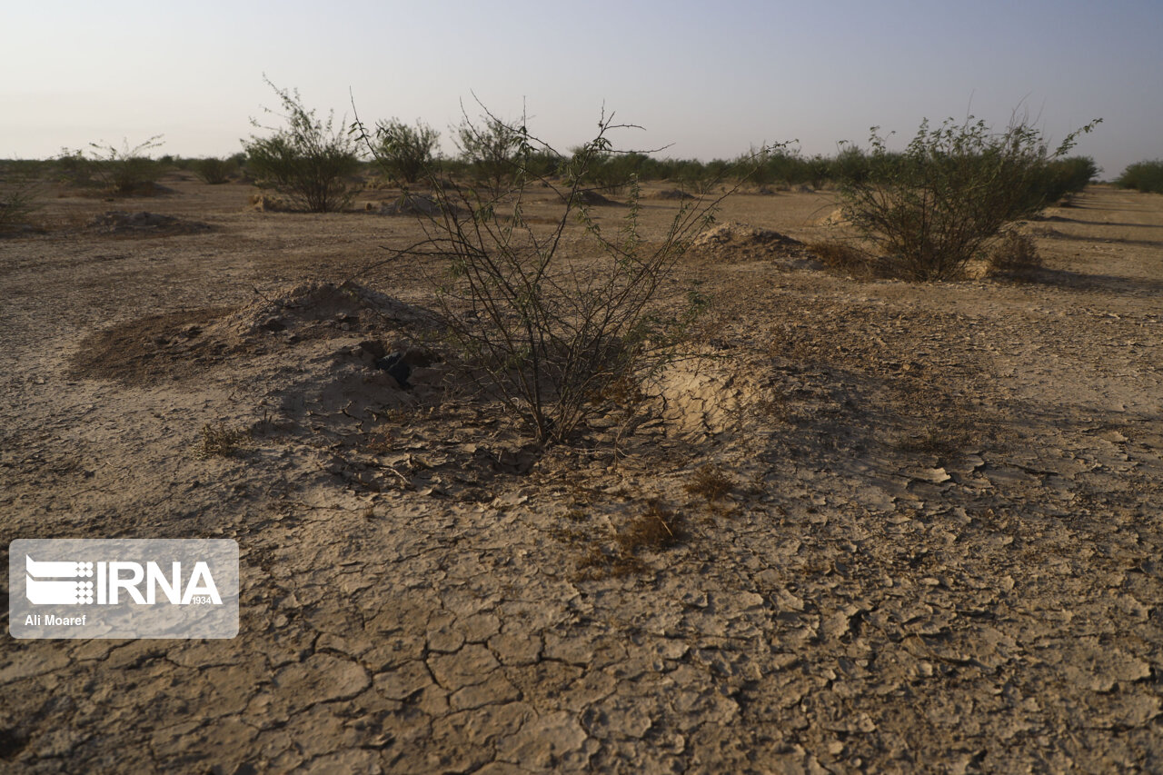 حقابه طرح مقابله با گرد و غبار خوزستان تضمین شود حقابه طرح مقابله با گرد و غبار خوزستان تضمین شود