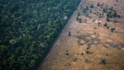 افزایش ۲۲ درصدی جنگل‌زدایی در آمازون برزیل در طول یک سال