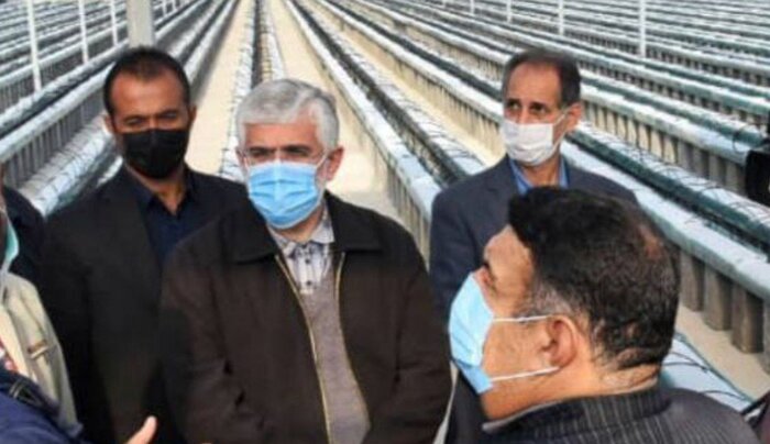 رونق کشاورزی گلستان به توسعه فناوری و استفاده بهینه از آب نیاز دارد