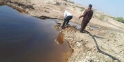 جمع آوری لکه‌های نفتی در اراضی آلوده گناوه آغاز شد  