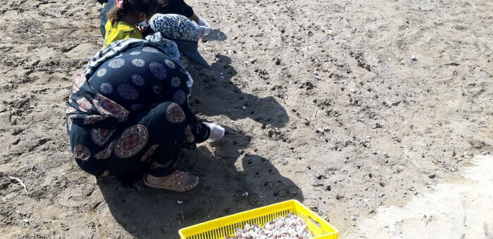 عشقی که برای خروج از تکمحصولی کاشته میشود