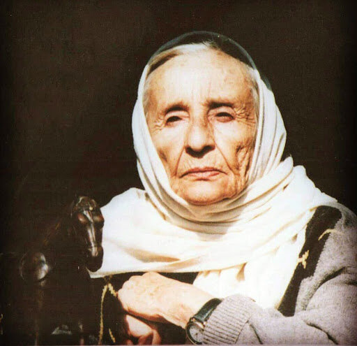 مهد پرورش اسب ایران زمین مهیای سرمایهگذاران صنعت سوارکاری