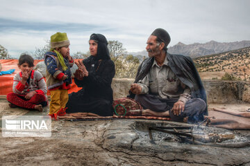 Les chênes de Zagros, un élément-clé dans la cuisine et la médecine locale