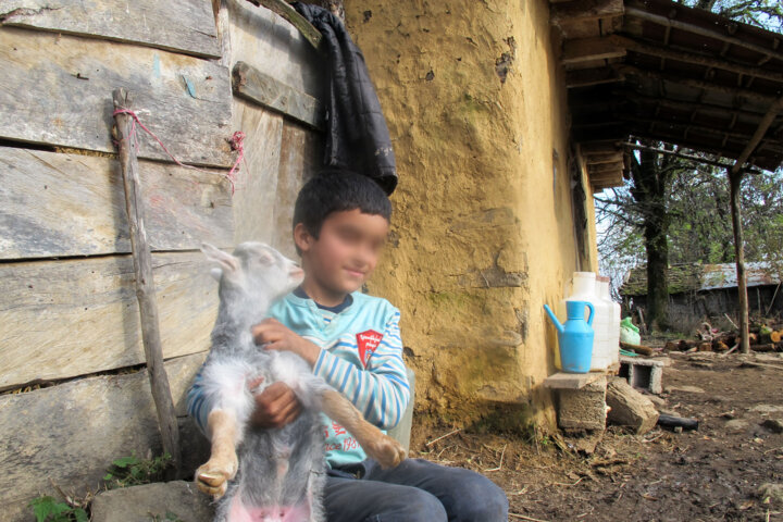 نوای کودکانه حسرت برای خواندن از قلب جنگلهای گیلان