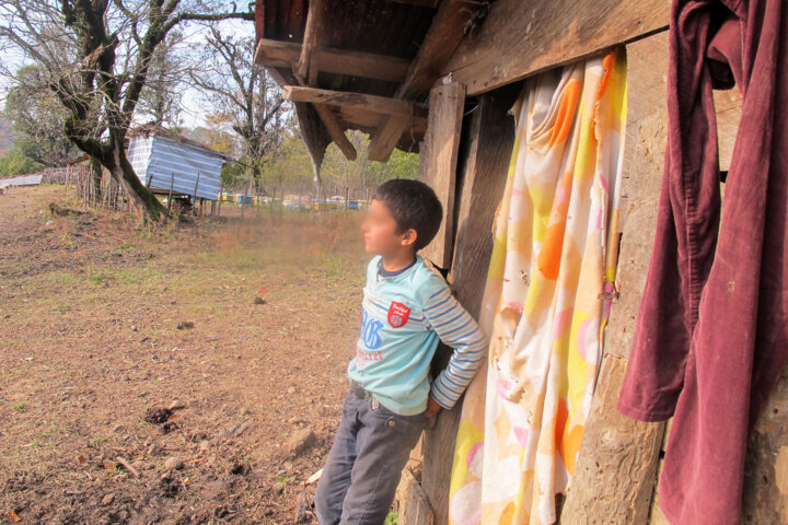 نوای کودکانه حسرت برای خواندن از قلب جنگلهای گیلان