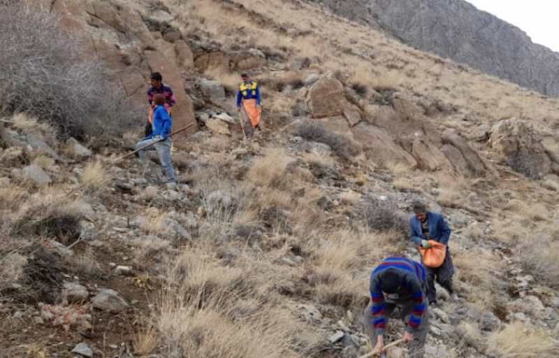 کشت بذر باریجه در ۲۰۰ هکتار از عرصههای ملی خمین آغاز شد کشت بذر باریجه در ۲۰۰ هکتار از عرصههای ملی خمین آغاز شد