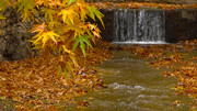 یاسوج میں پت جھڑ اور حسین آبشار پر ایک جھلک