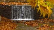 Luvia de hojas sobre la cascada de Yasuy 