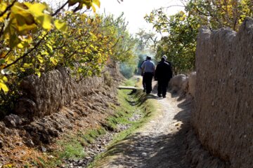 کوچه باغ راه میان جوب سمنان