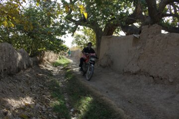 کوچه باغ راه میان جوب سمنان