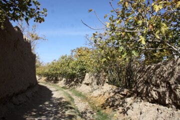 کوچه باغ راه میان جوب سمنان