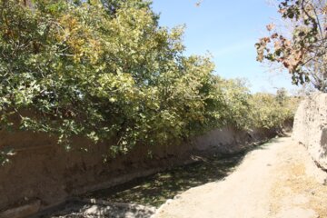 کوچه باغ راه میان جوب سمنان