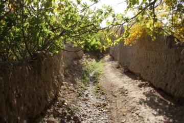 کوچه باغ راه میان جوب سمنان