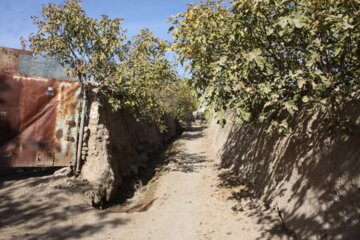 کوچه باغ راه میان جوب سمنان