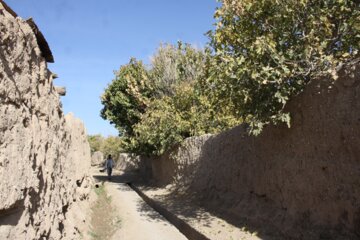 کوچه باغ راه میان جوب سمنان