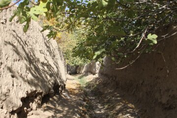 کوچه باغ راه میان جوب سمنان