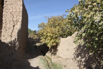 کوچه باغ راه میان جوب سمنان